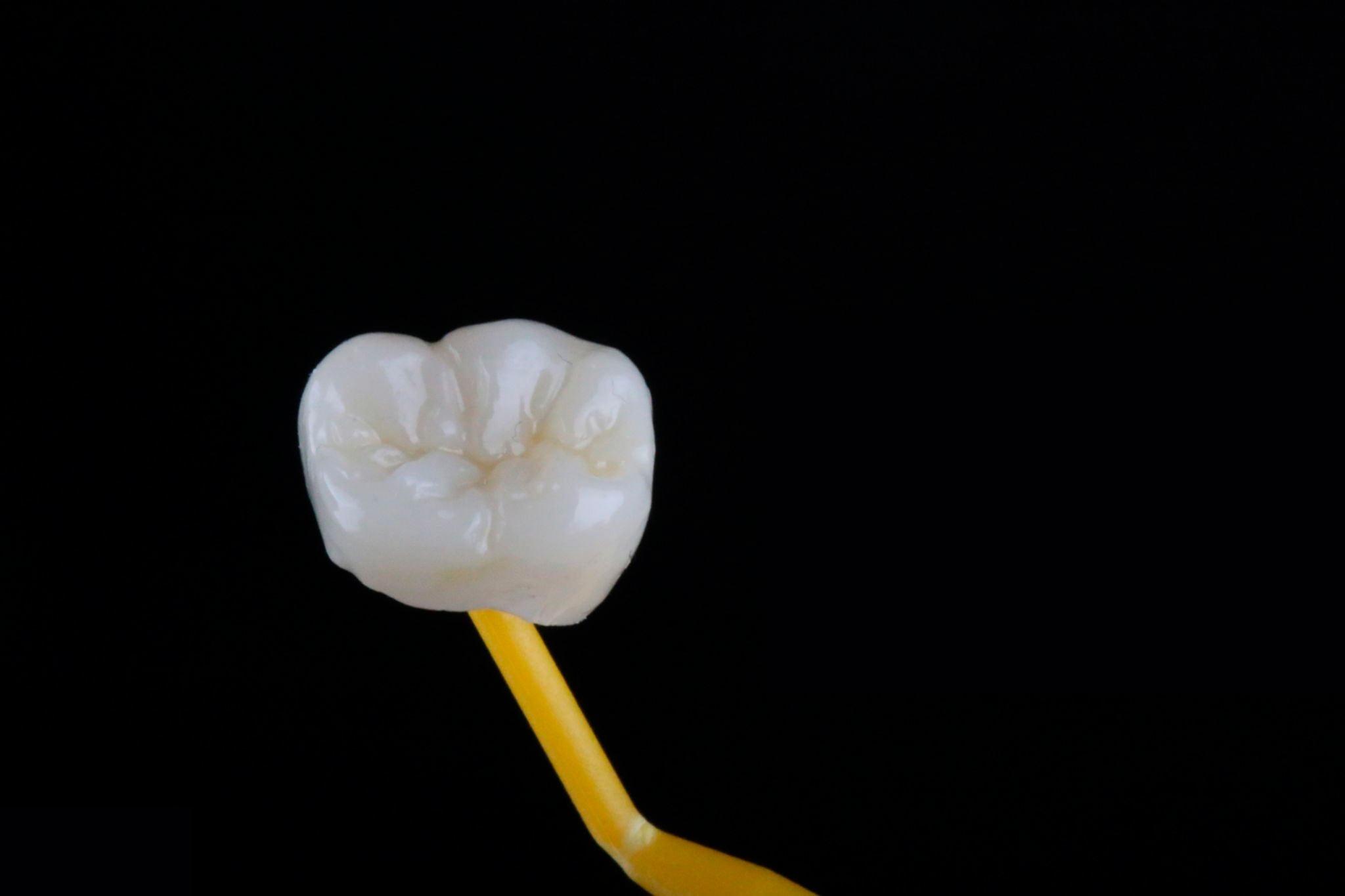 zirconio-en-odontologia